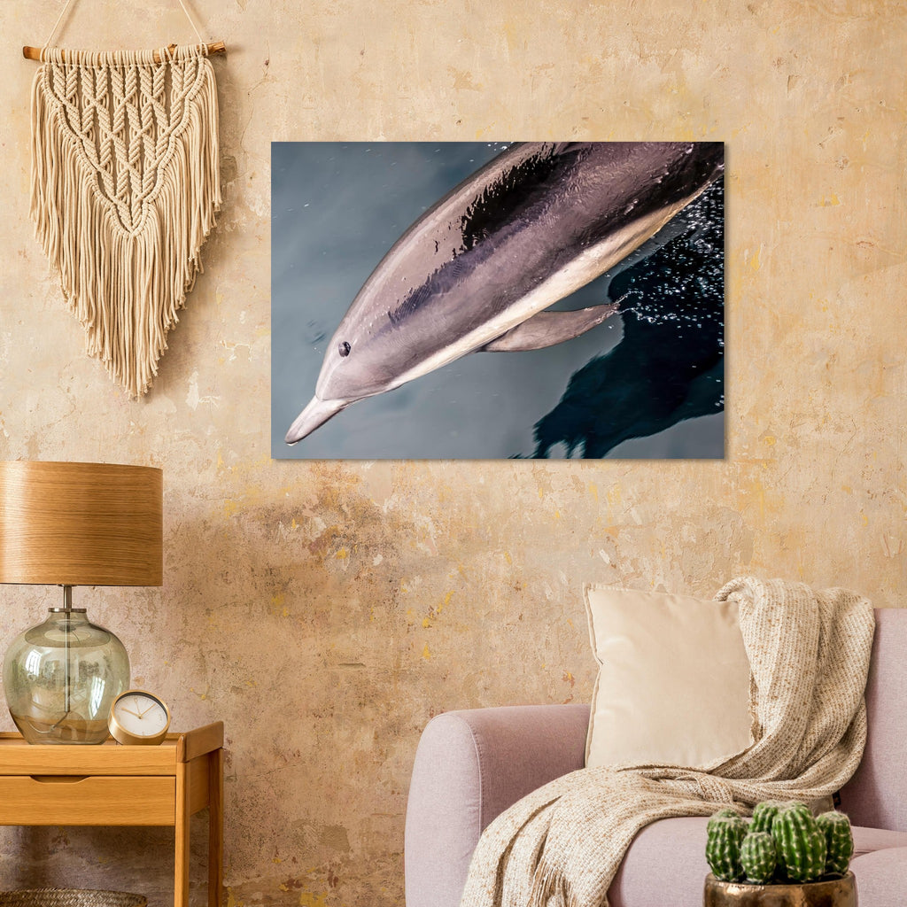 8a64988c-b604-4e5f-a41c-68baddd9910a