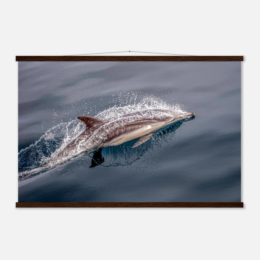 8f427dd6-1c19-4ae4-a3a1-19a308ffdd31