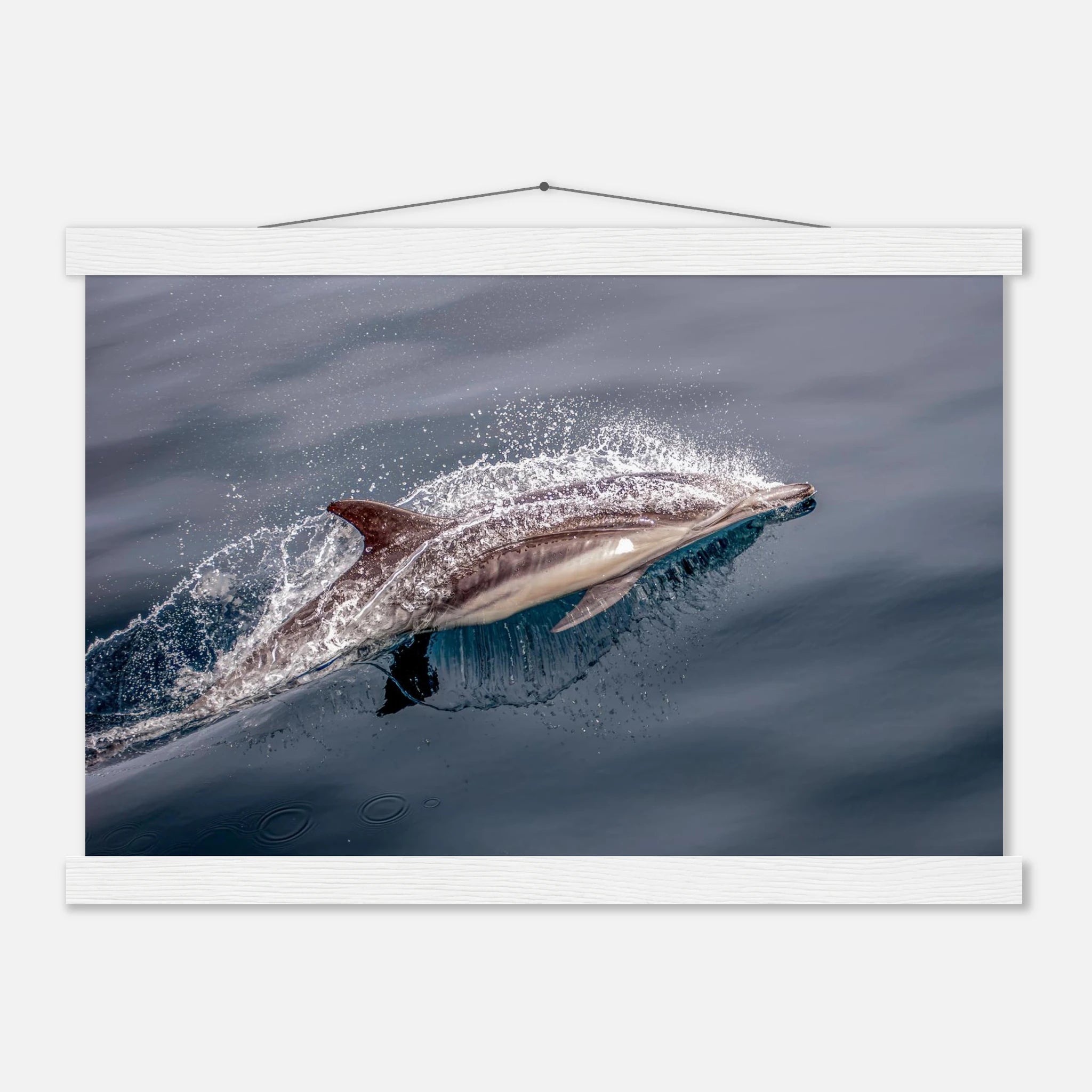 91020bc9-61f0-4204-85c0-1b44c1cd7716