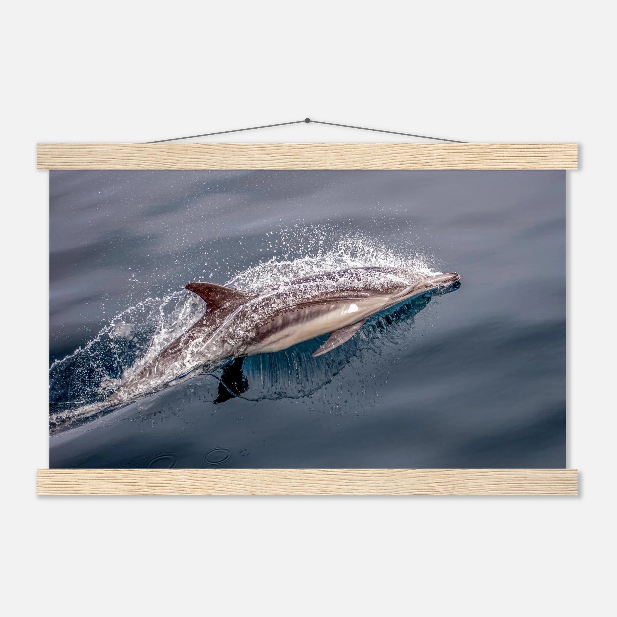 92535784-0a1f-494c-8734-c3597aafd27f