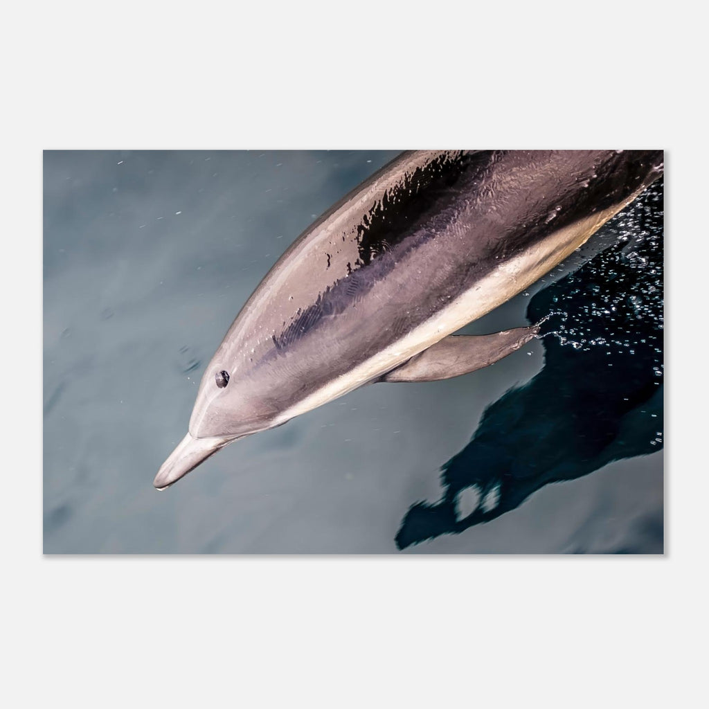 9cb9505f-8f66-41aa-a4d4-d81ace46c16c