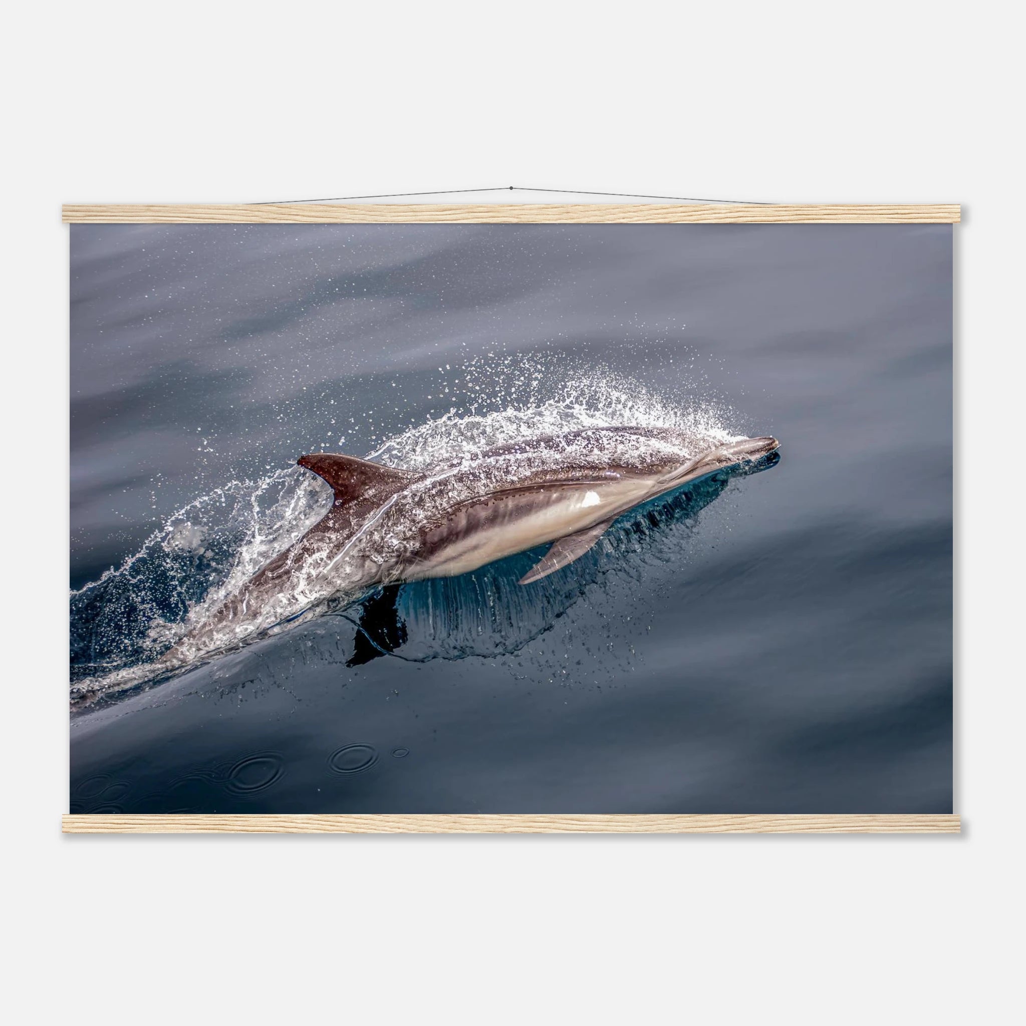 9e3d1d6f-c5b9-47d6-a4f2-0bf741fa44b2