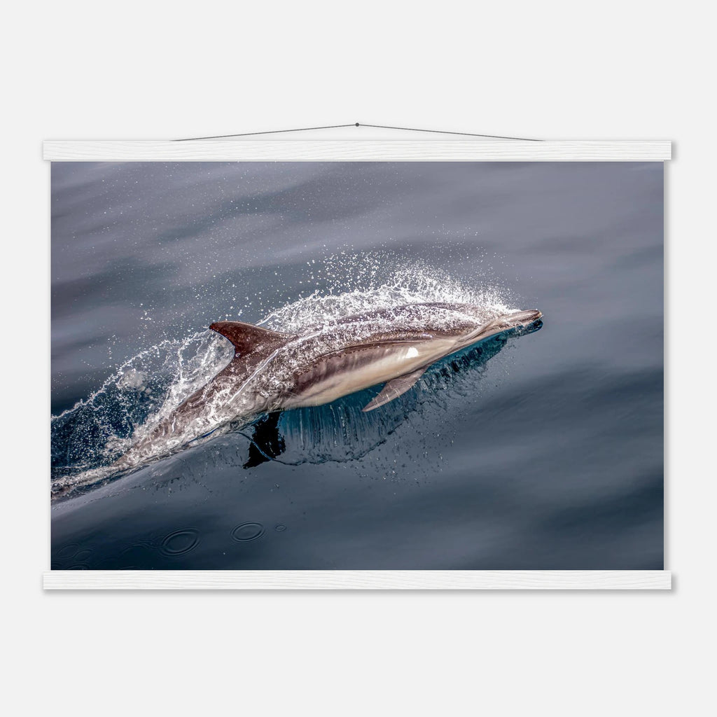 9f2ec619-4865-4dc6-b6cd-86b633c3e2e1