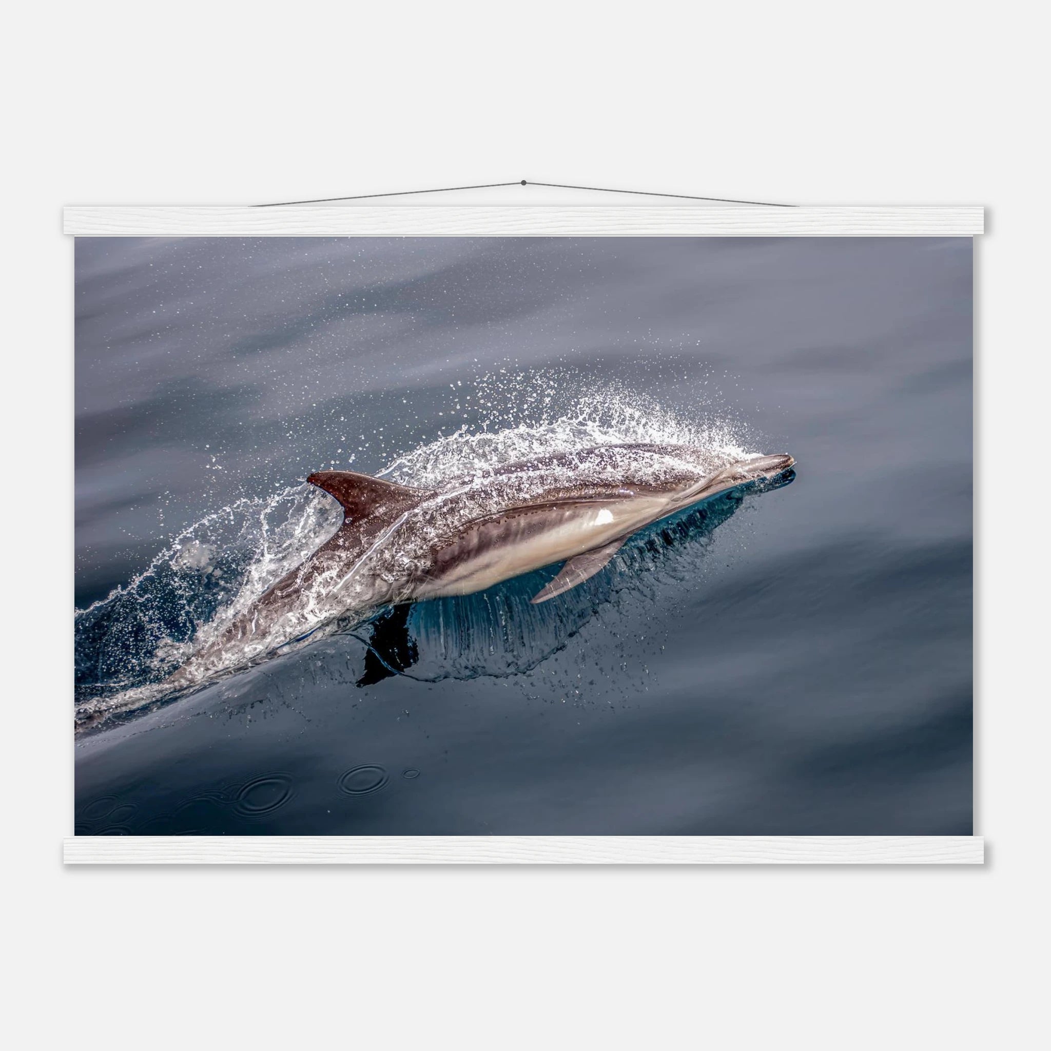 9f2ec619-4865-4dc6-b6cd-86b633c3e2e1