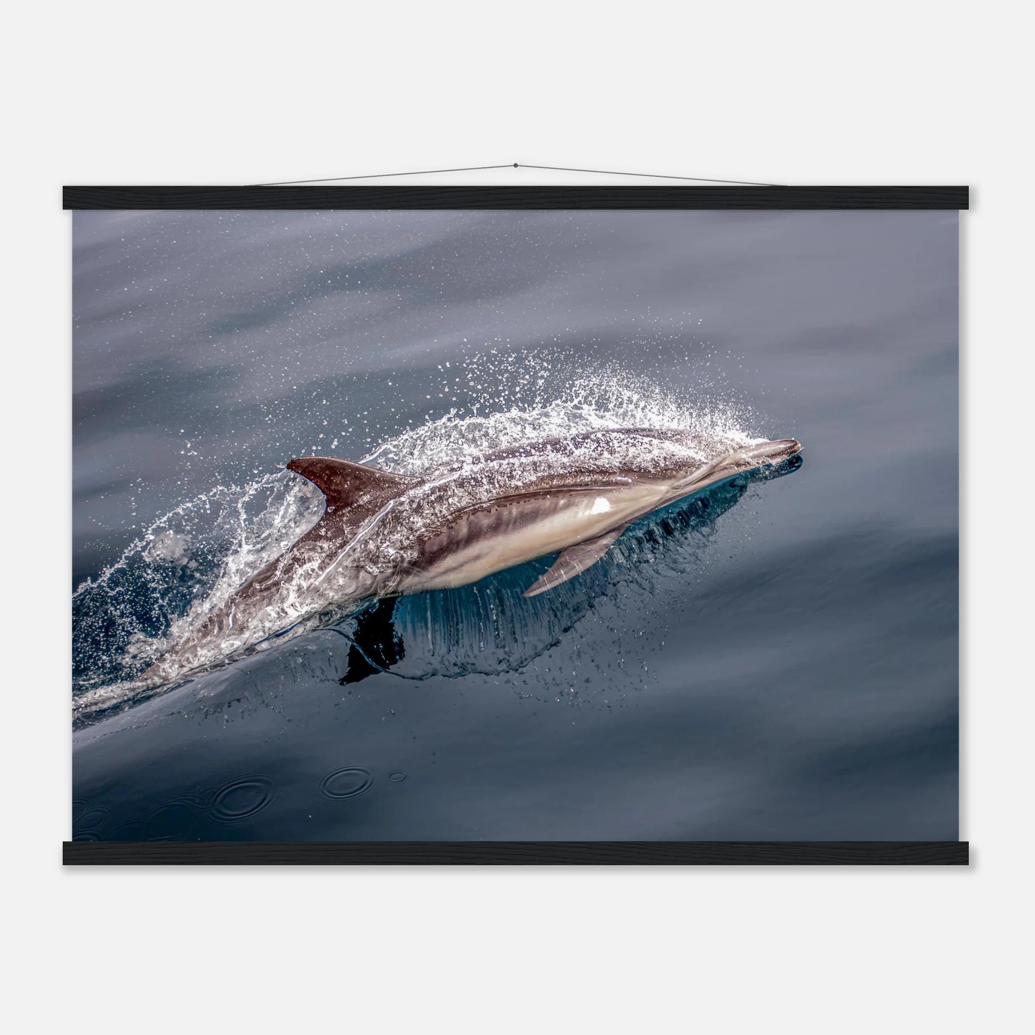 a01ec25a-e0ac-480d-b403-6332f1475ee0