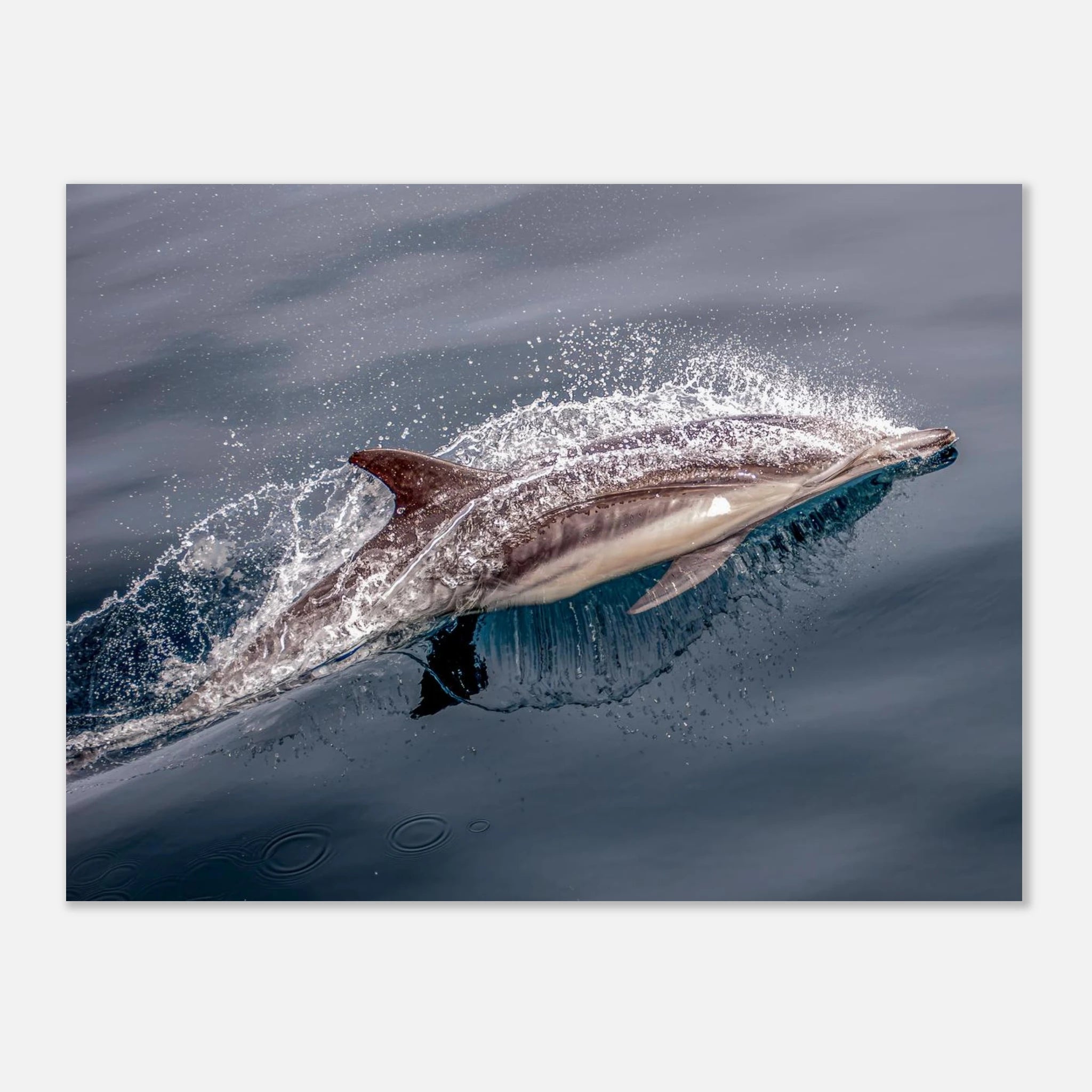 a56f3feb-3a36-4213-9187-2280f06850a8