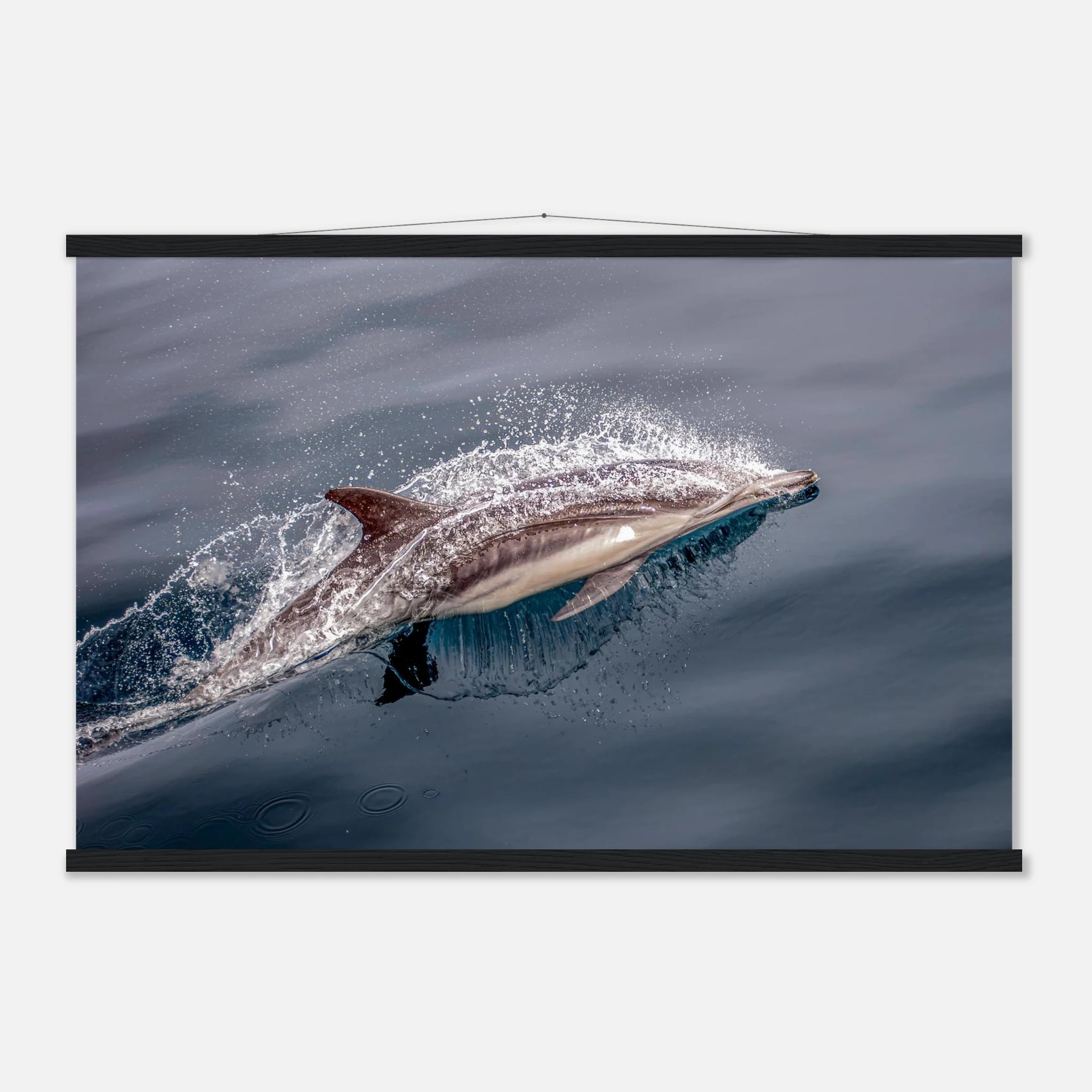 a9e74663-ef8d-4309-be91-17e518383df6