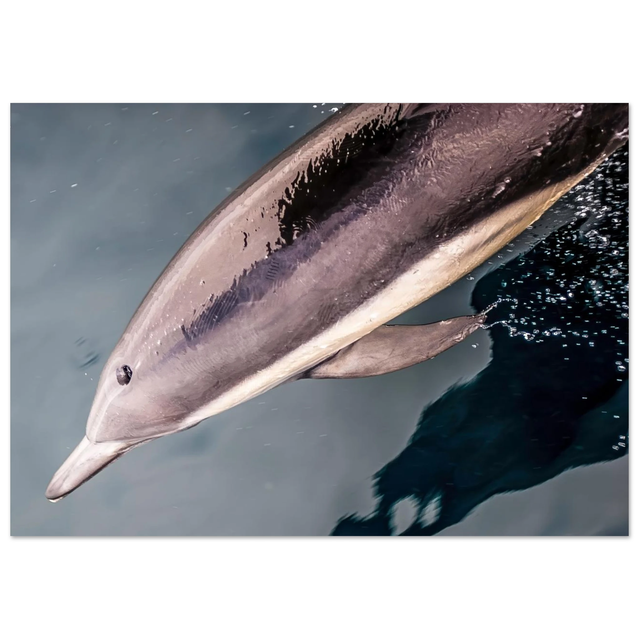 ab47960e-f3c2-4f51-9170-416f56e5269e