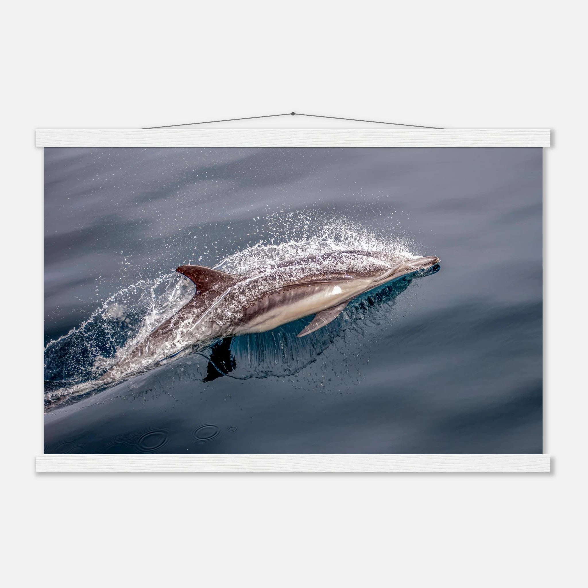 abb090fc-03ad-47b7-abca-dcf829689a9e