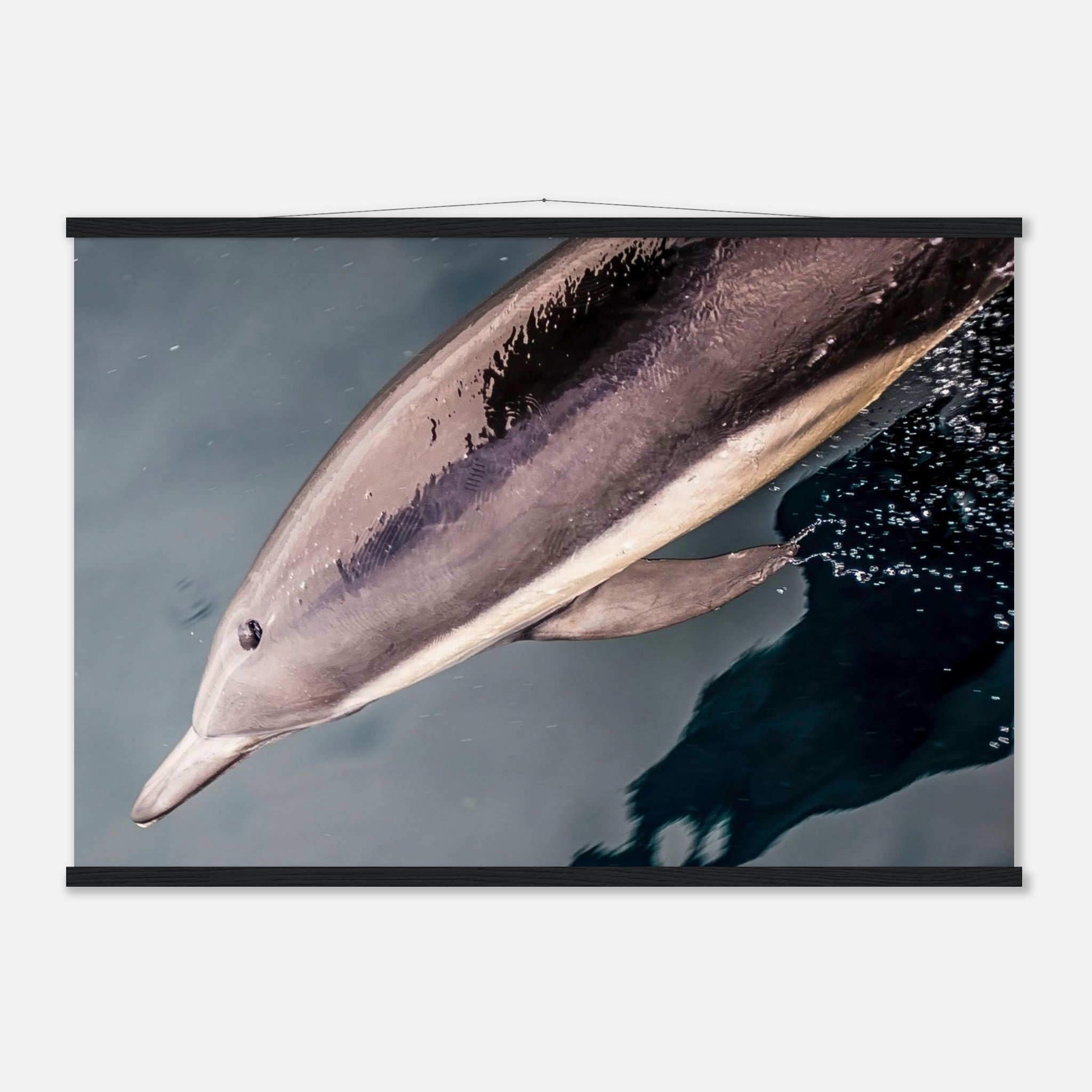 abf6ae87-dffc-447c-ac57-a83c19b56633