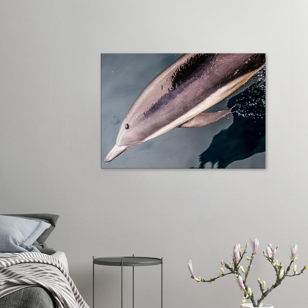 b0d27c03-779f-4b68-85e5-2892965c6d5f