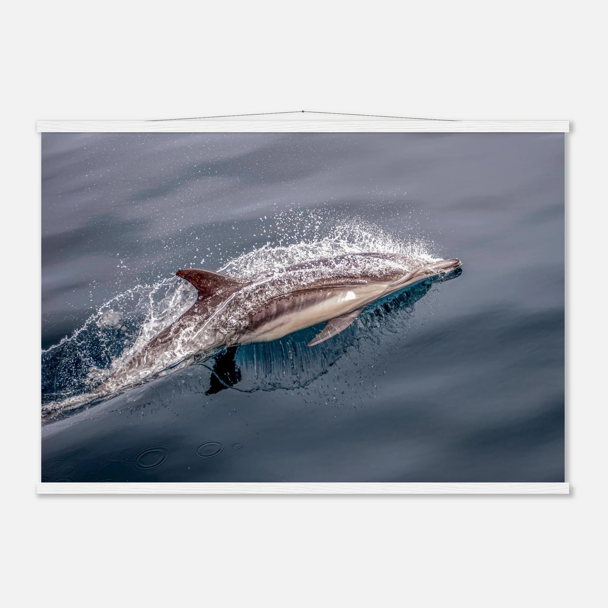 b155ddca-c624-4a99-869d-d6e5b7391bec