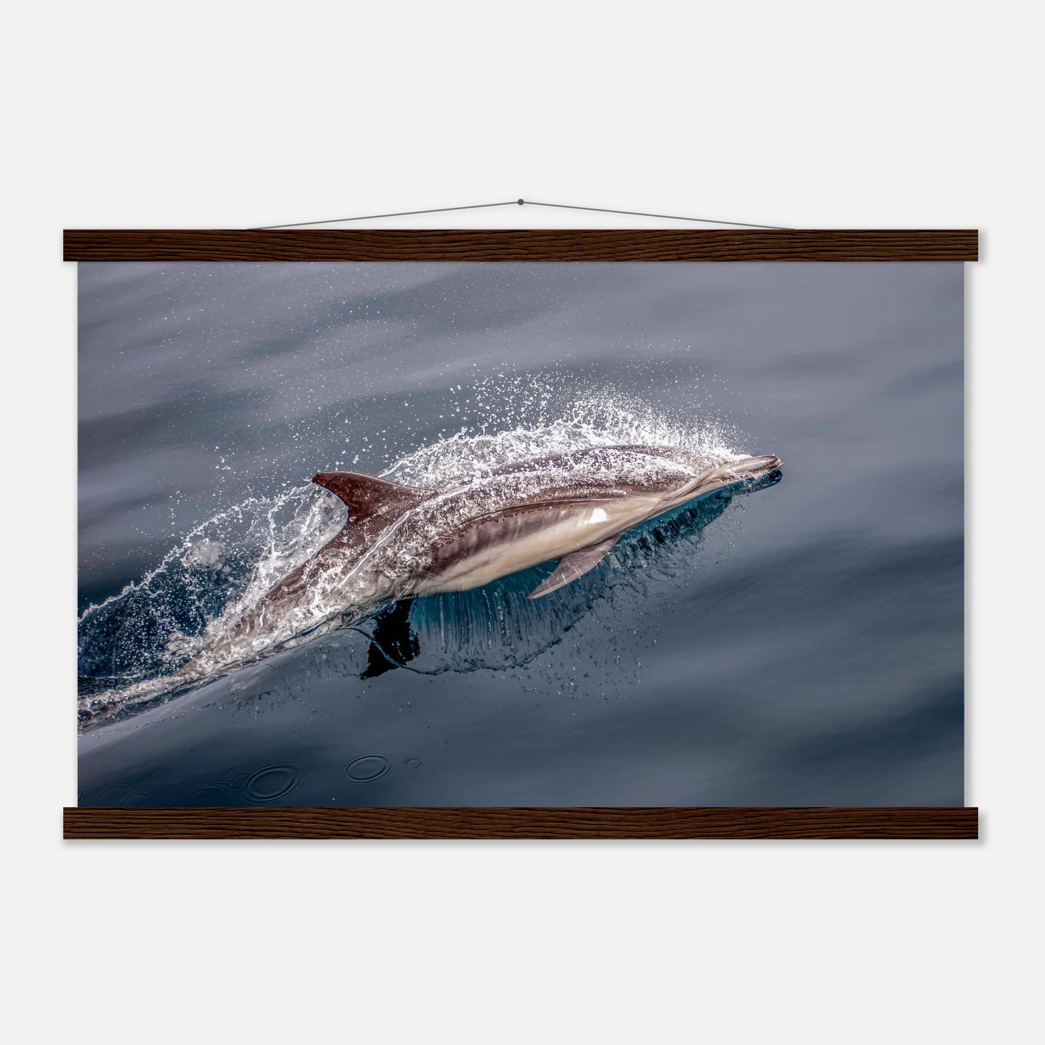 ba1b450f-7d31-4e4a-9140-b277f46730e9