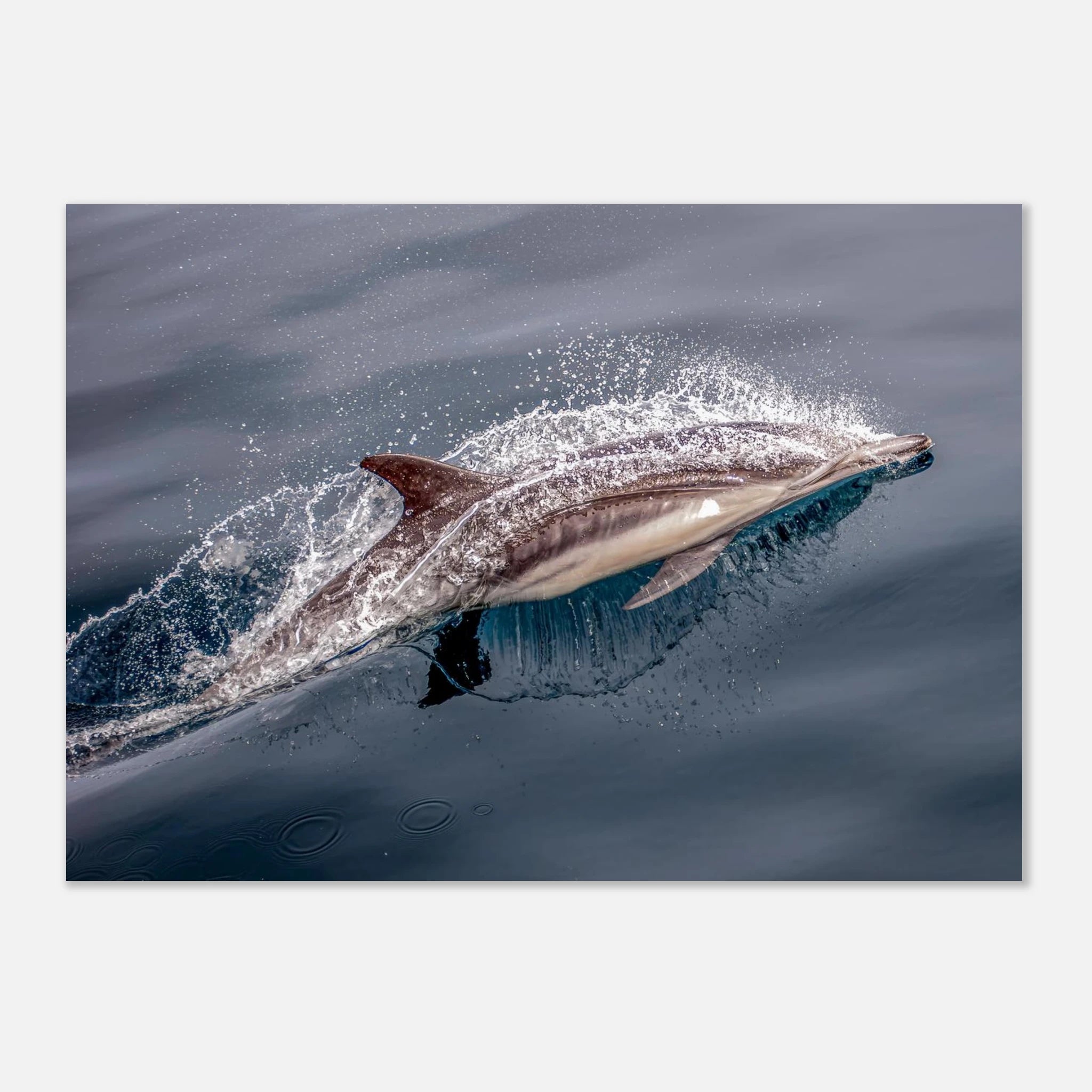 bd63c8e4-0d91-4eb7-8cd5-796686439296