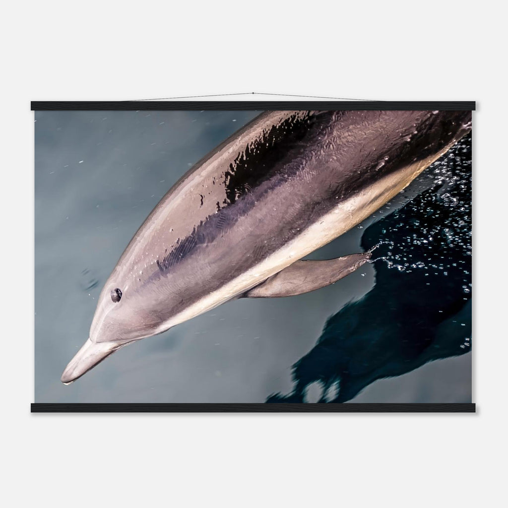 c6cf4d83-e52d-43e6-8aab-8f872a350fc8