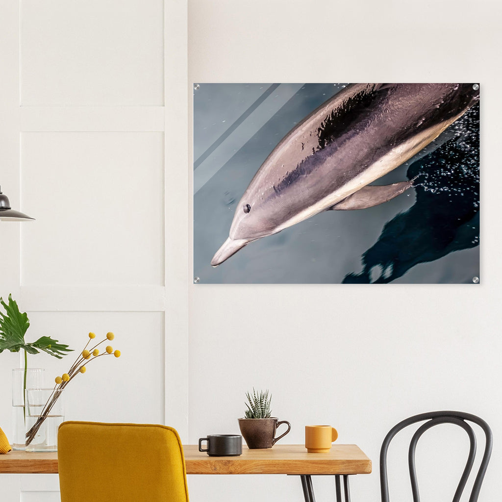 cfc00097-1f22-440a-986c-f28d89bfa0de