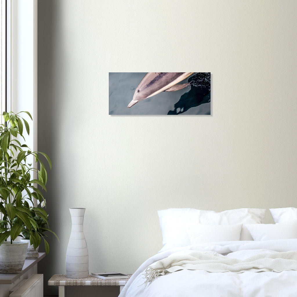 d02ba479-ee42-47ee-b8ec-38e514d944bd