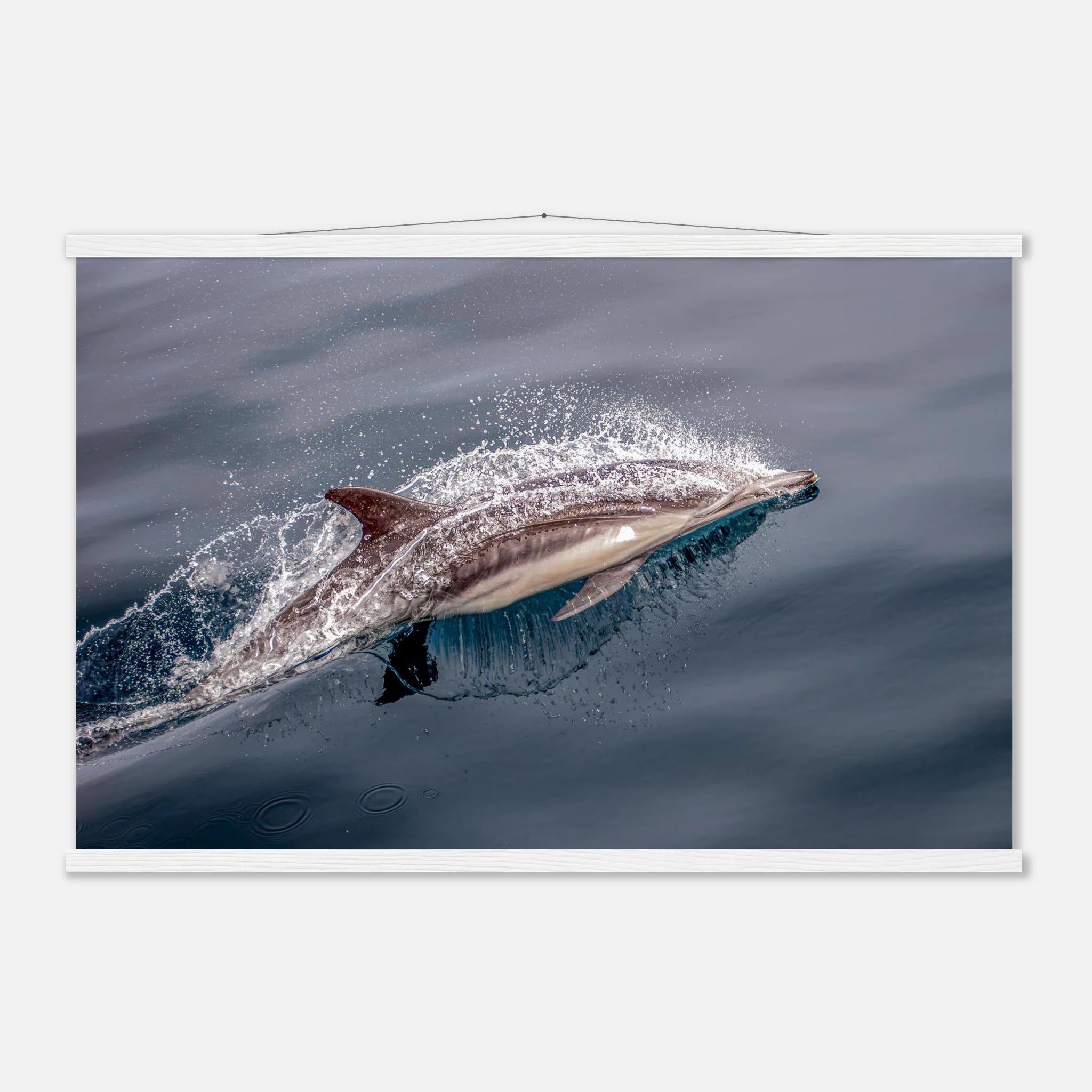 d0b828ed-2703-4dd8-b124-e8436df9b5f7