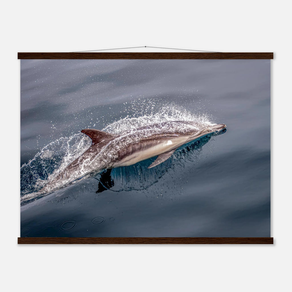 d39fbfab-5fde-4539-b113-20e704f5d3b5