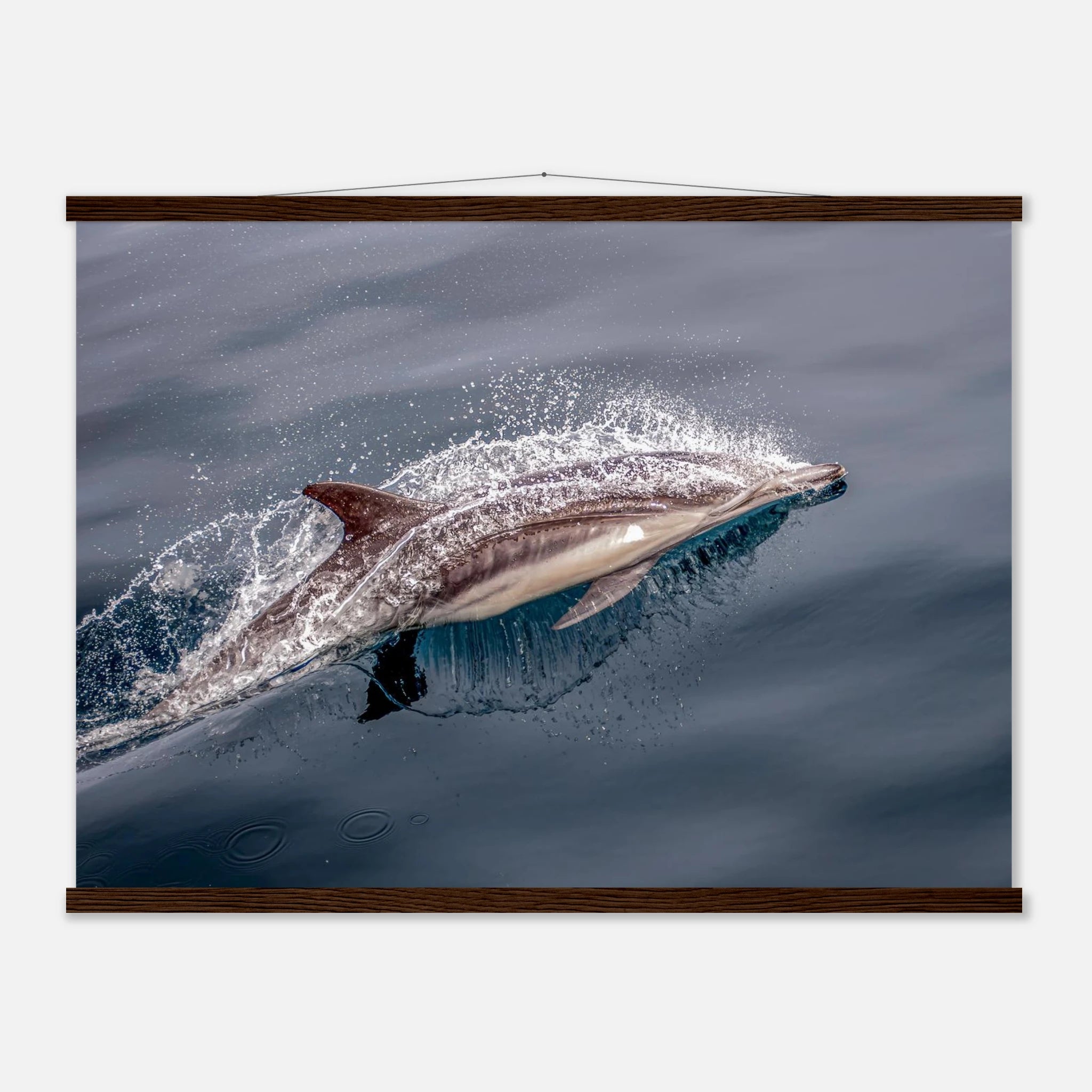 d39fbfab-5fde-4539-b113-20e704f5d3b5