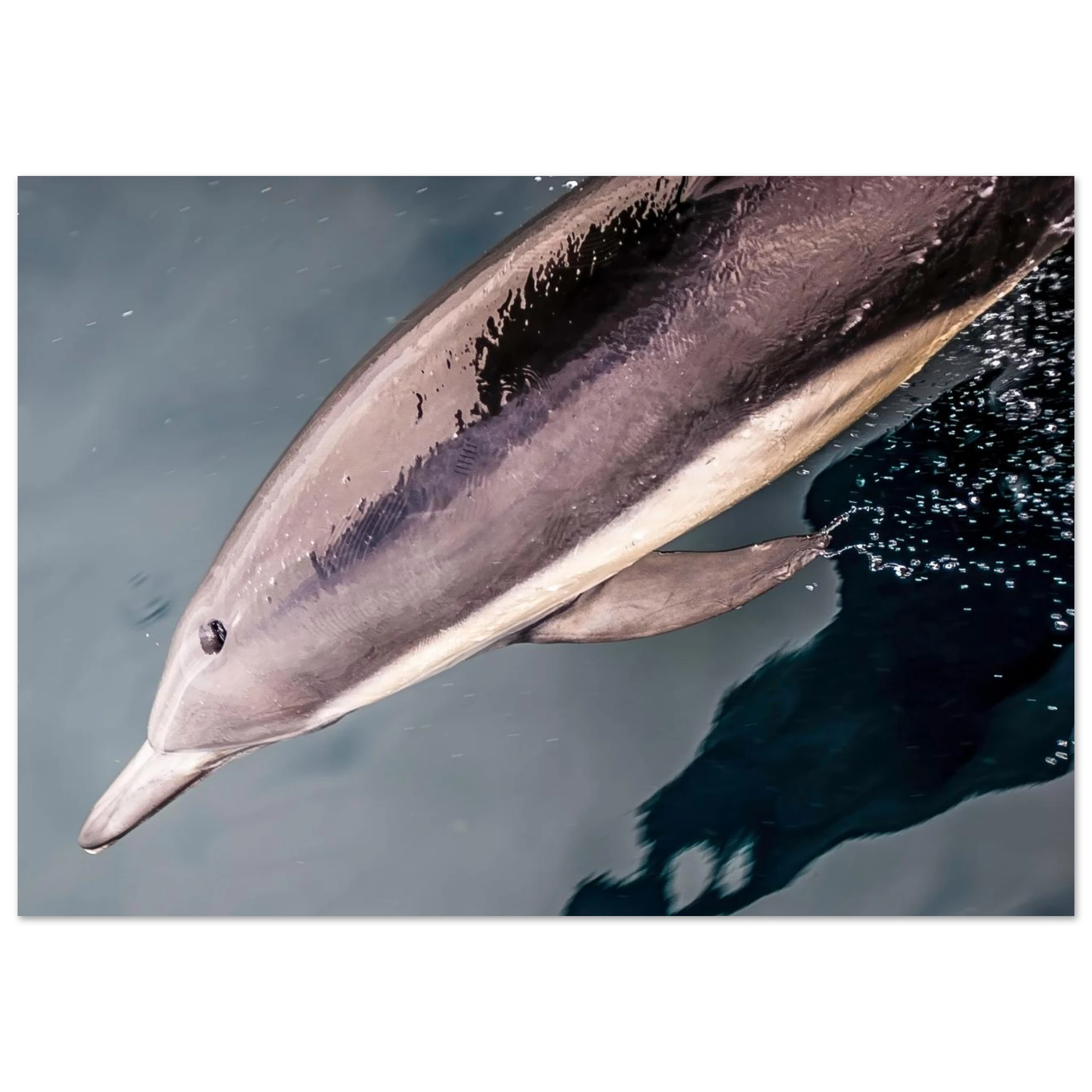 d892ceb6-6510-4251-9afa-b867ac24be6b