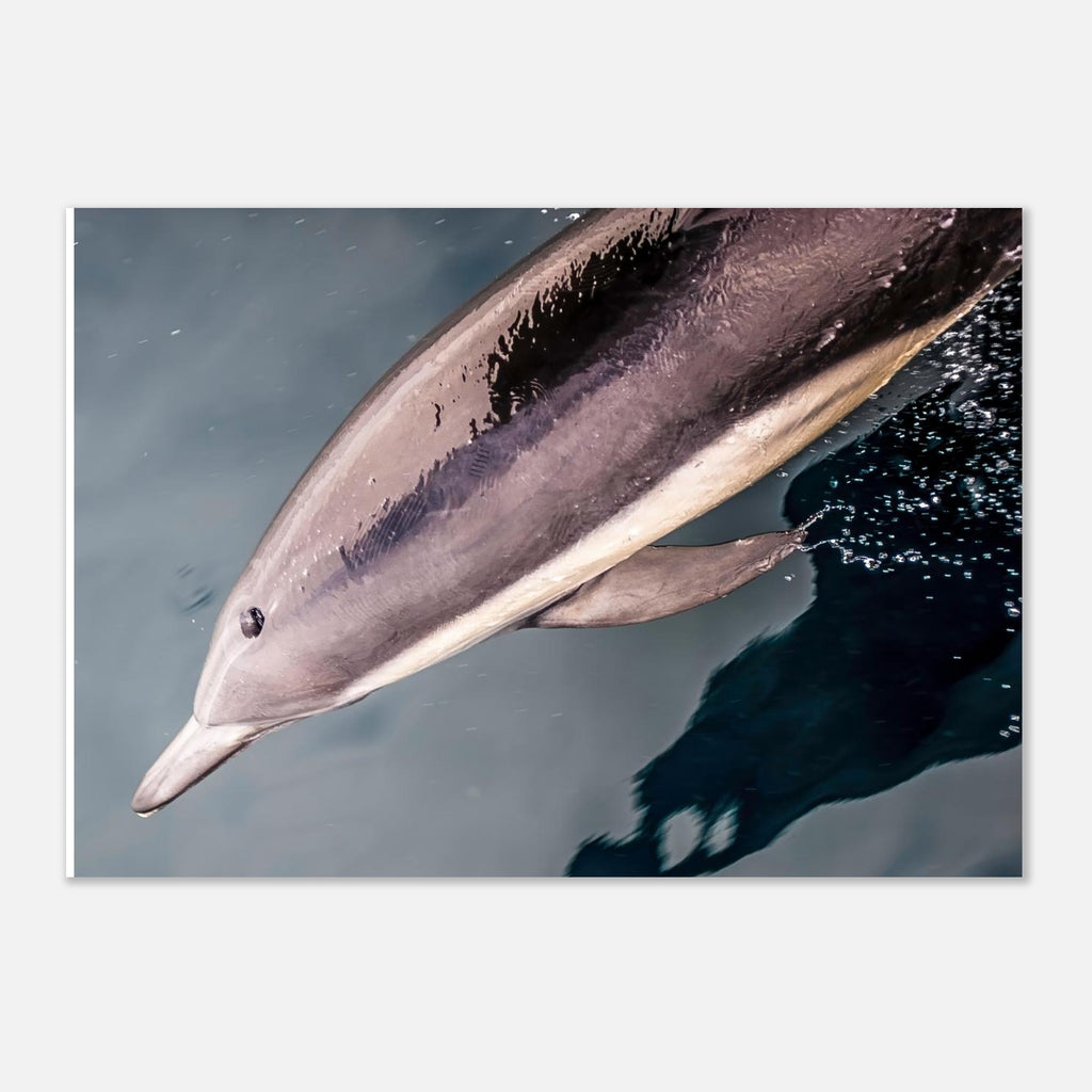 e321d400-6612-4104-9ce6-28c13df11850