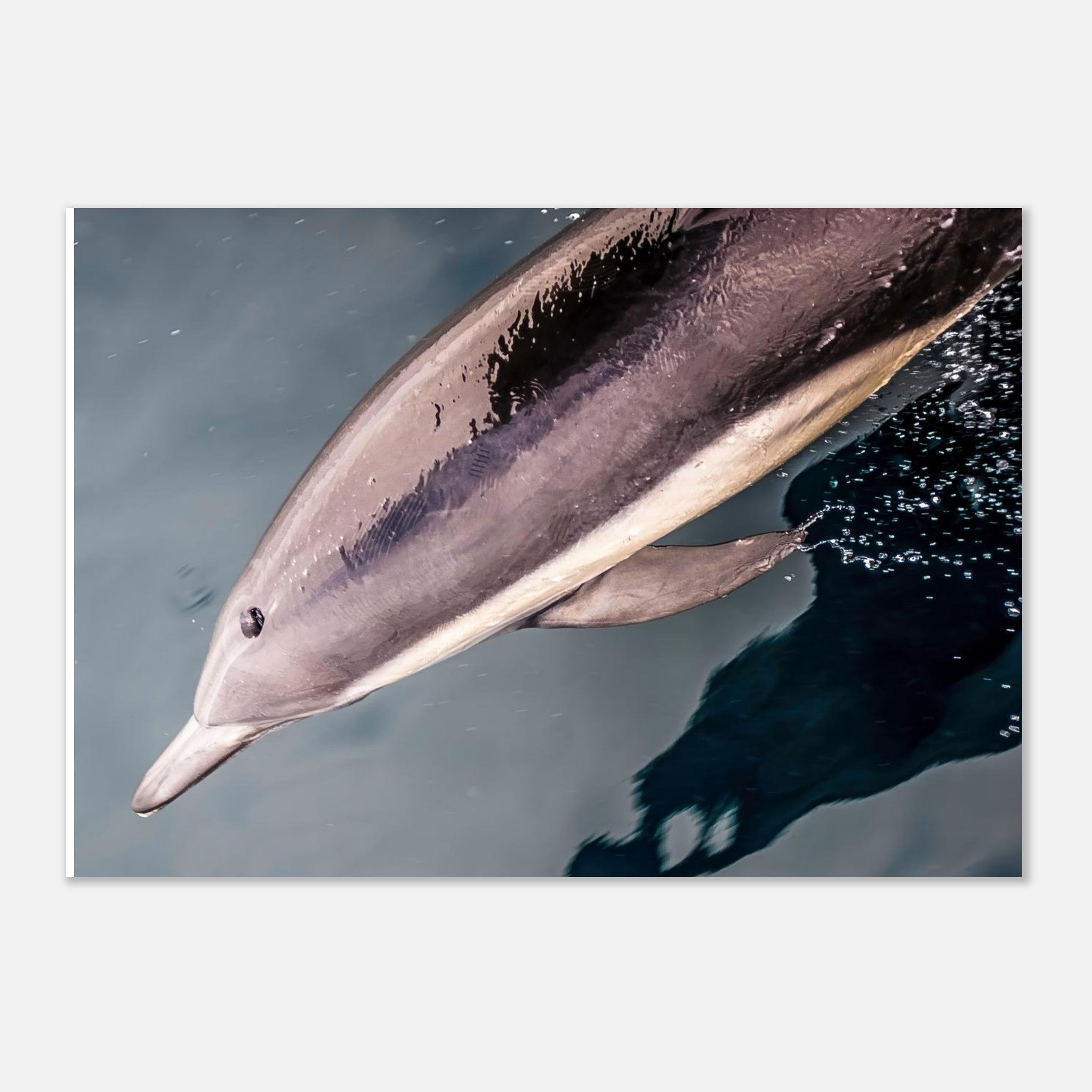 e321d400-6612-4104-9ce6-28c13df11850