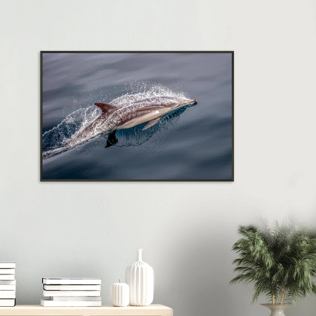 e77865e8-9dd7-4c8a-97cf-b05e7a9f1c2a