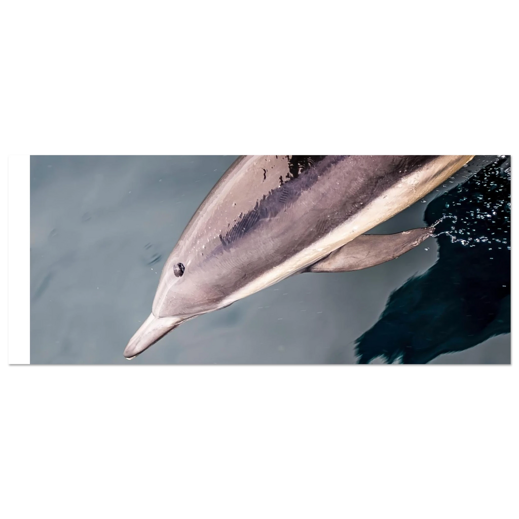 e809cff1-9d51-4931-a6e0-913b2539b6b0