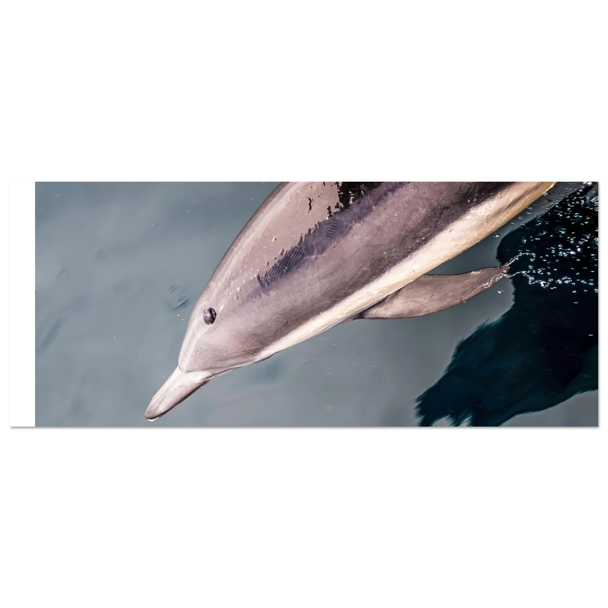 e809cff1-9d51-4931-a6e0-913b2539b6b0