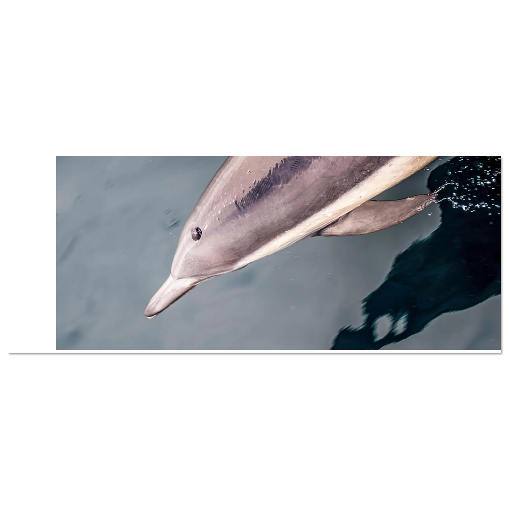 eb8e6390-7057-4916-bc1d-8281af14957c