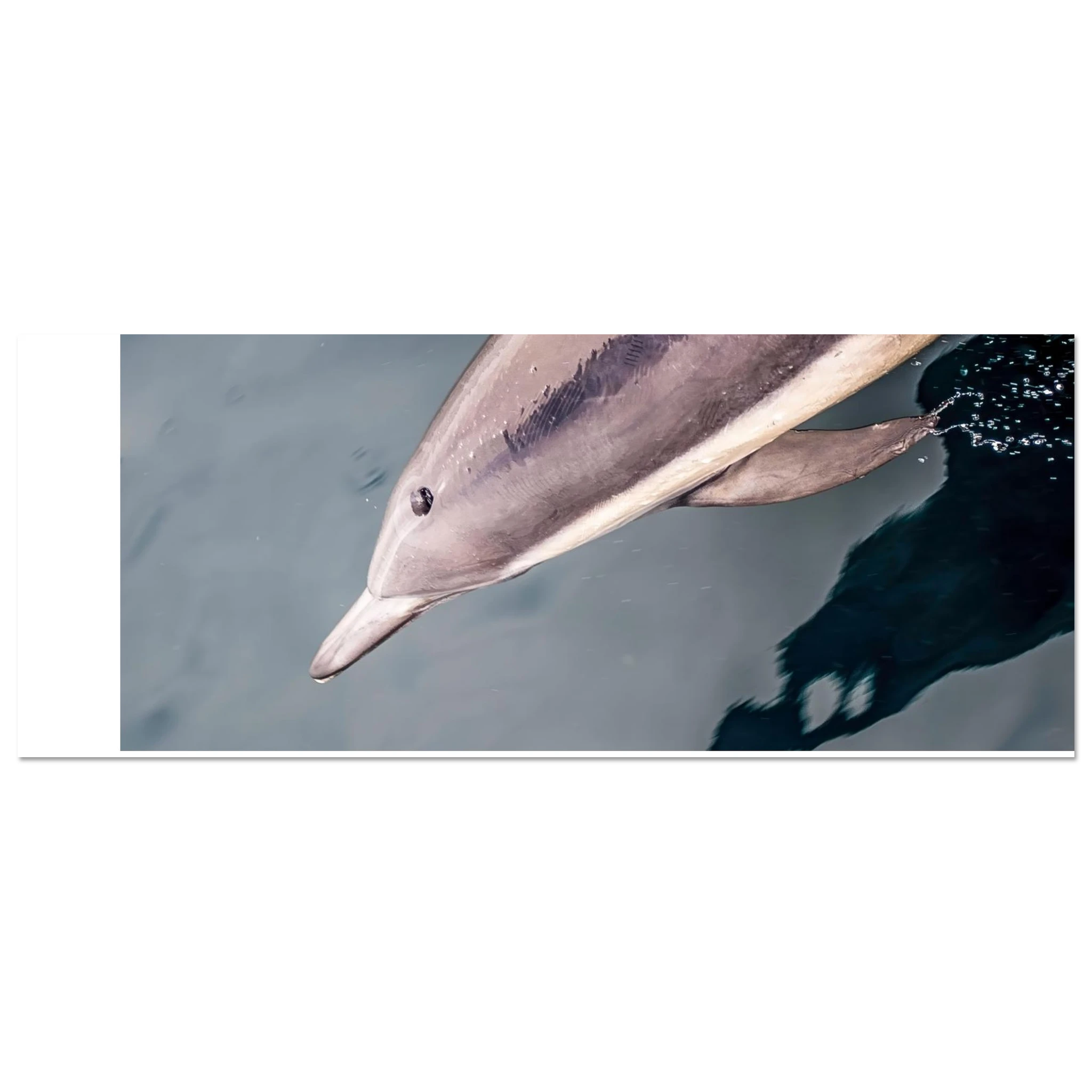 eb8e6390-7057-4916-bc1d-8281af14957c