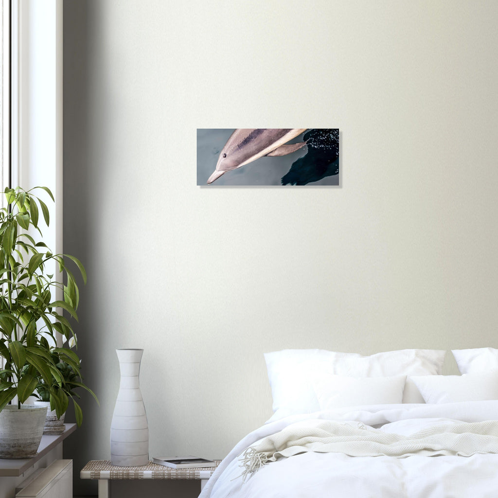 ee0441a1-5954-4d3e-86c0-bf4a47632b19