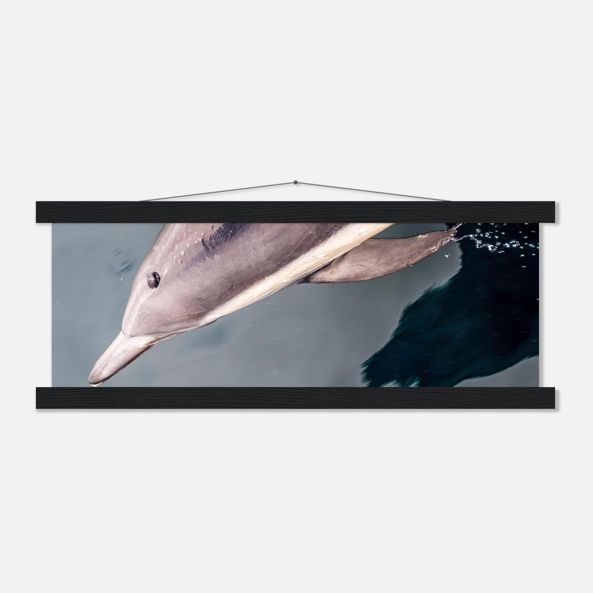 eef52a15-1a93-4ba8-8b6f-0ab4aa6b3e5c