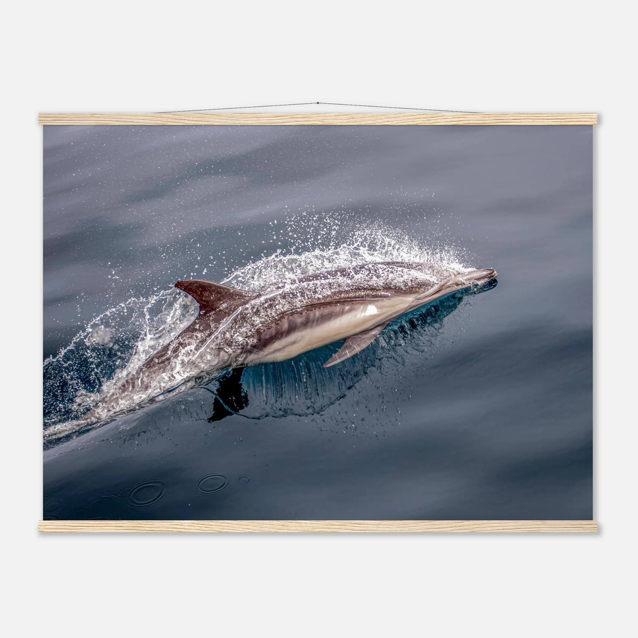 f0a8a19d-26fc-446d-ba25-418e40625267