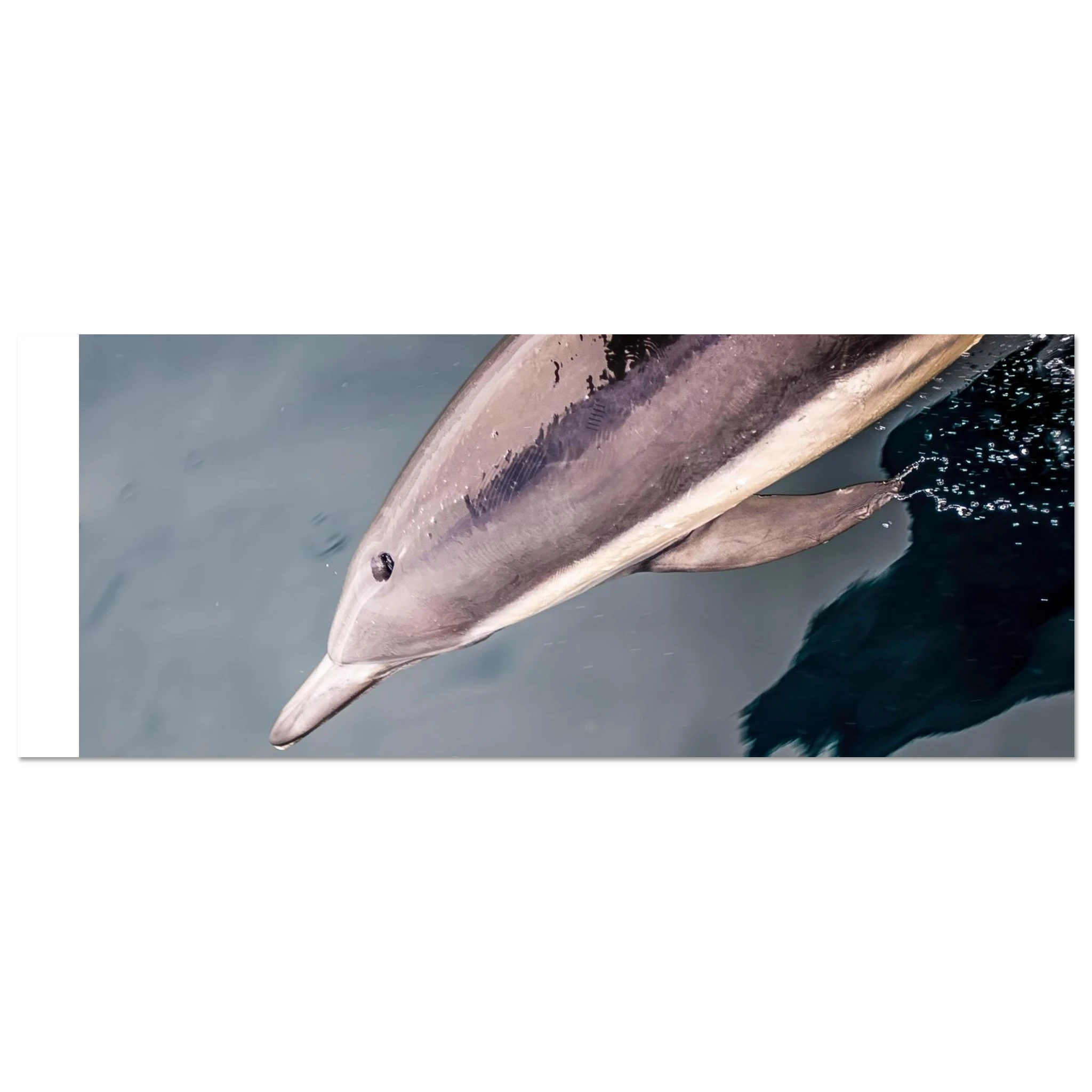 f12ad610-e146-4e93-8bf4-9b5a58ea3c48