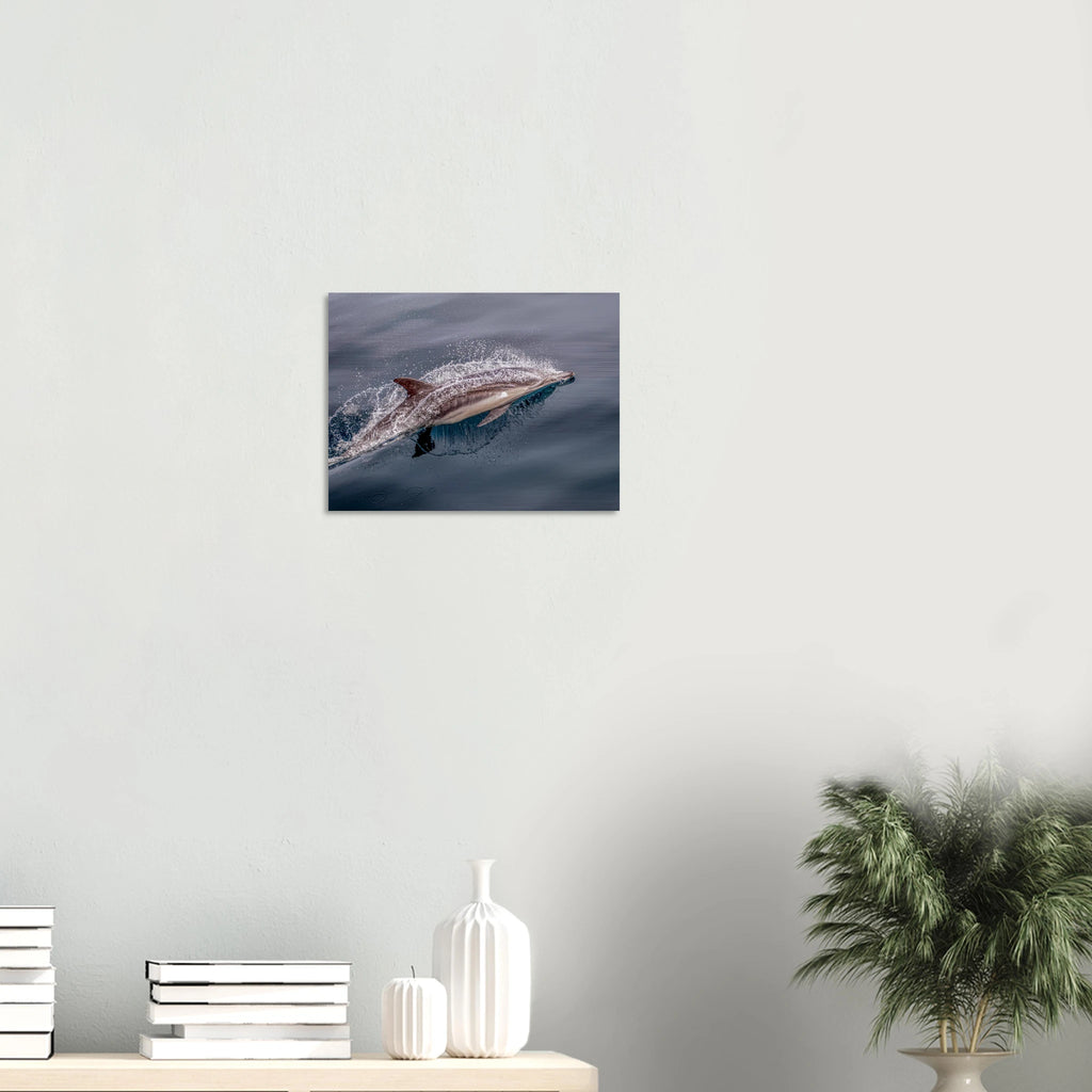 f5f05647-85dd-4658-b1c5-9a4e9a1e40b2