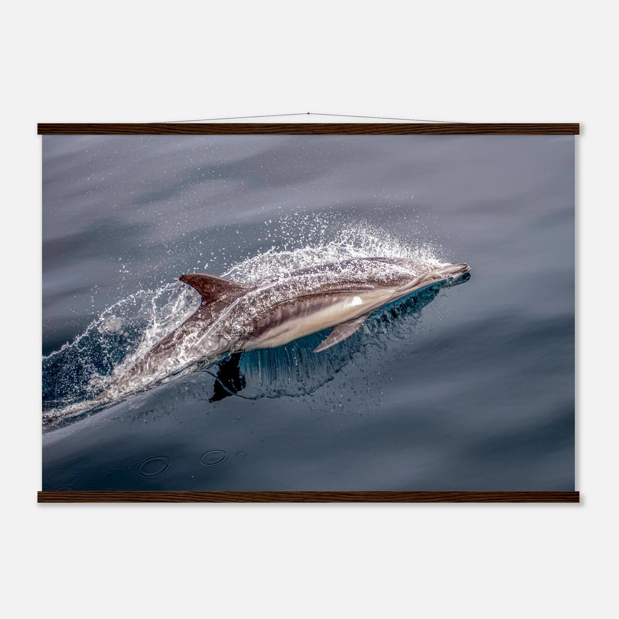 fbc20da9-7064-40c6-963a-c6684d1711fd